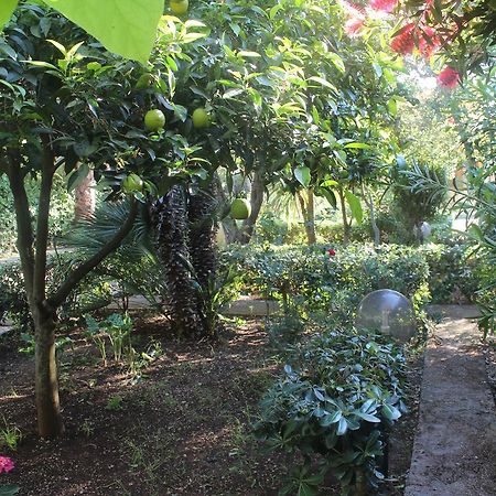 Residence Giardino Vieste Ngoại thất bức ảnh